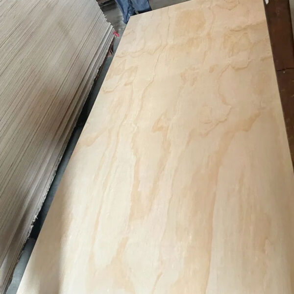 pine-plywood-2