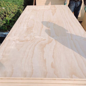 pine-plywood